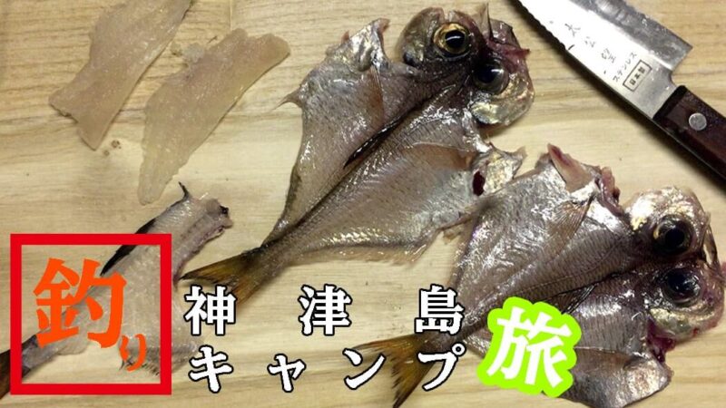 ハタンポで釣りメシ！ハタンポの刺身&塩焼きが絶品すぎた【神津島釣りキャンプ】