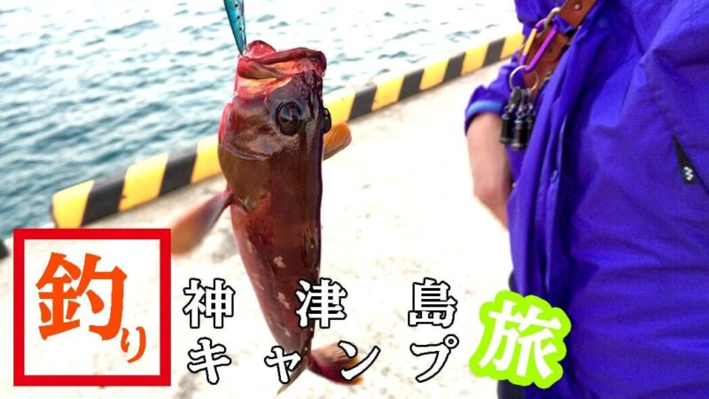 ジギングでアカハタにエソ！刺身に唐揚げで釣りメシ｜神津島釣りキャンプ