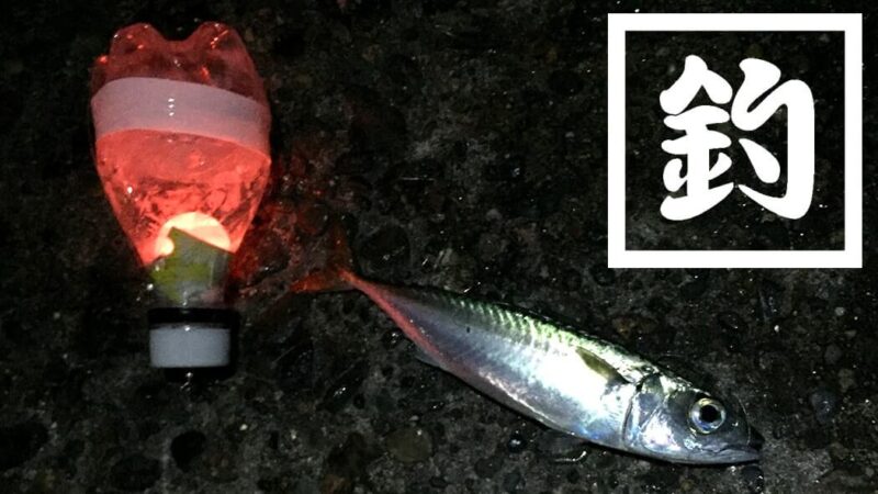 自作ペットボトル電気ウキで堤防夜釣り！サバとアジが釣れました（笑）