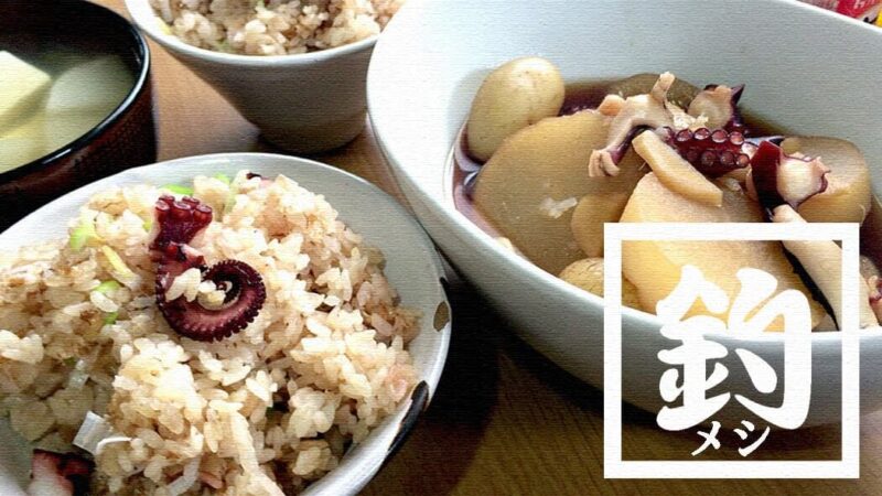 釣ったマダコをタコ飯と煮物に！堤防で釣ったタコが旨い