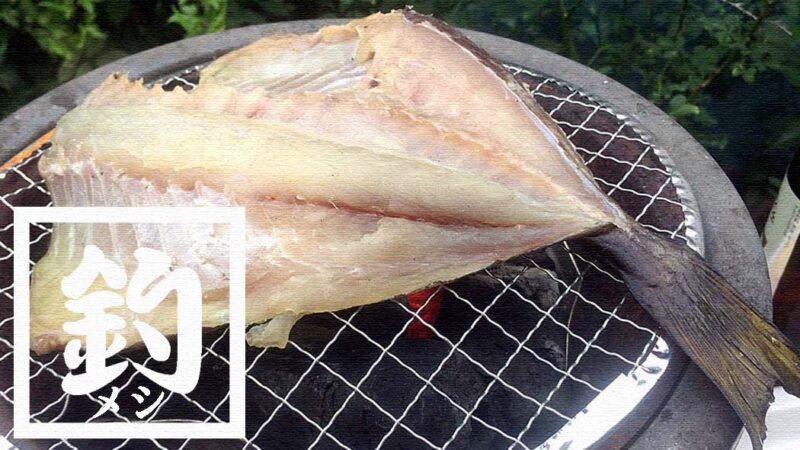 アイゴと石鯛を干物に！釣った魚を干物にして炭火焼き