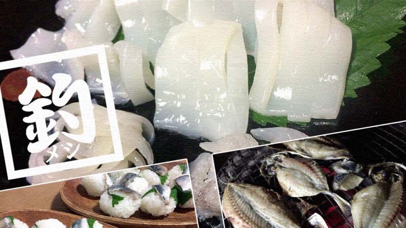 釣ったイカを捌いて絶品刺身！鯖とアジはしめ鯖と干物にして釣り飯