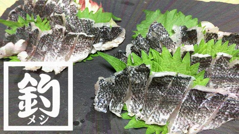 グレ（メジナ）の湯霜・焼霜造り！皮の旨味が◎な刺身【釣り飯】