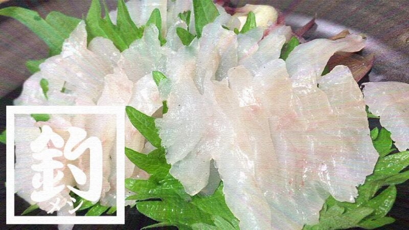 ムラソイの刺身とネギトロ！皮は湯引き！ムラソイは絶品釣り魚