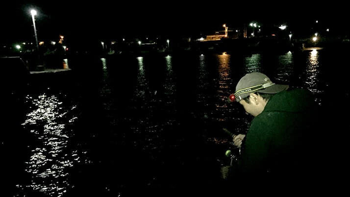 千葉内房堤防夜釣り！メバルにカワハギが釣れるも小物…大物はアカエイ
