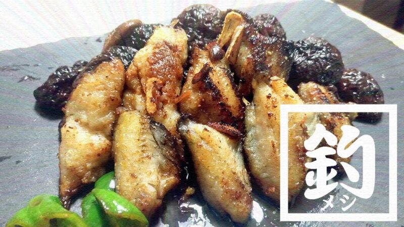 釣ってきたグレ（メジナ）とベラのバター醤油ムニエルでお手軽一品【釣り飯】