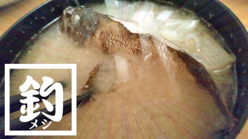 釣ってきたムラソイを味噌汁に！フンドーキンで魚本来の味を引き出す？【釣りメシ】