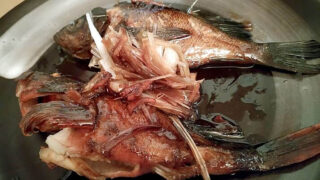 釣ってきたメバルとカサゴで煮つけ！【釣りメシ】