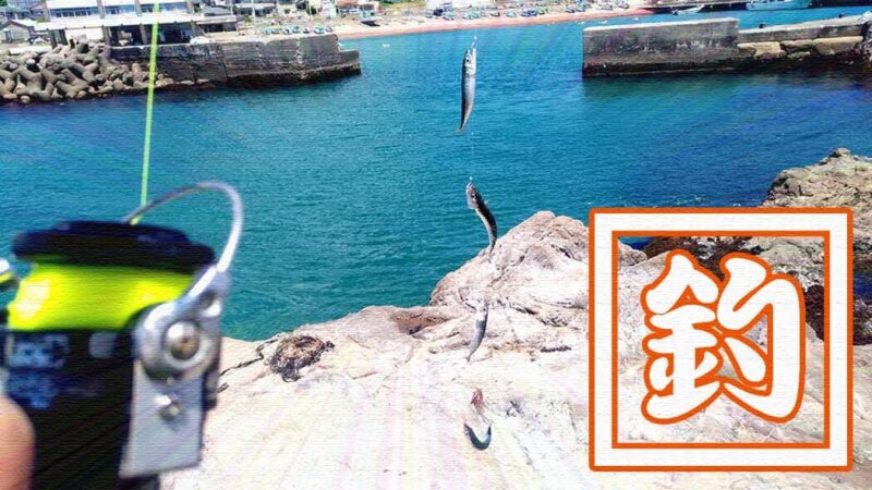 千葉外房鴨川で釣り！青年の家下の磯と江見漁港で小サバ入れ食い