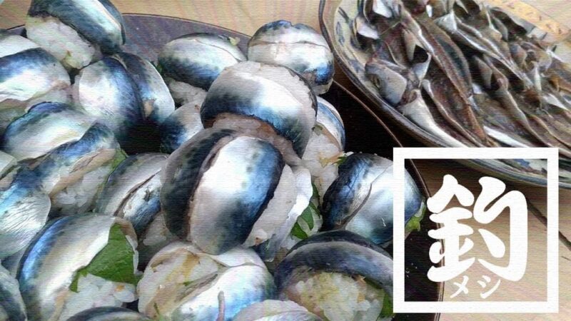 千葉外房堤防で釣った小サバをしめ鯖の手毬寿司と干物に！【釣りメシ】