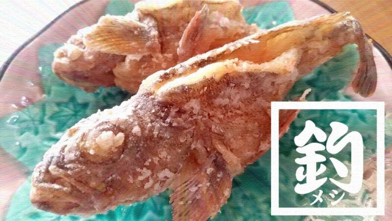 釣ったカサゴを素揚げに！骨まで食べるためのさばき方を試してみた