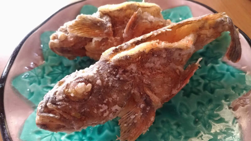 釣ったカサゴを素揚げに！骨まで食べるためのさばき方を試してみた