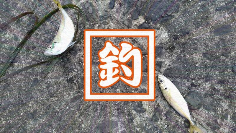渡し船「栄宝丸」で木更津沖堤防へ！船や沖堤防釣りの様子公開！