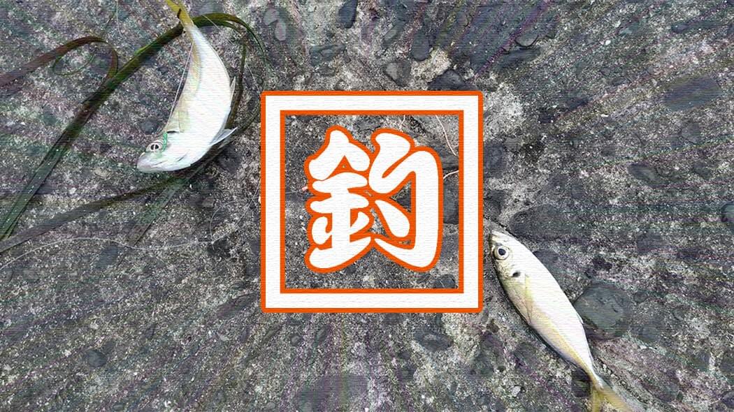 江戸川でウナギ釣り！シーバス・ニゴイ・ギギ…念願のウナギGET！！
