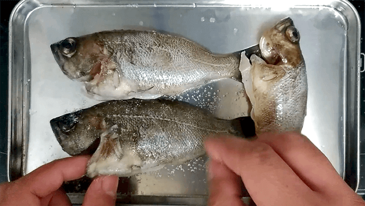 釣ったメバルでアクアパッツァ！〆パスタも絶品のイタリアン釣りメシ