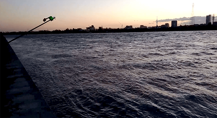 江戸川でテナガエビ&ニゴイ釣り！本当はウナギ狙いですが…
