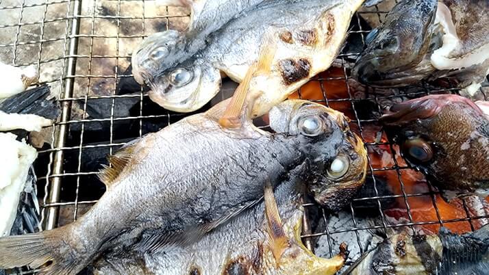 シロギスは干物にしても旨い！釣った魚を一夜干しとホイル焼きにした釣り飯