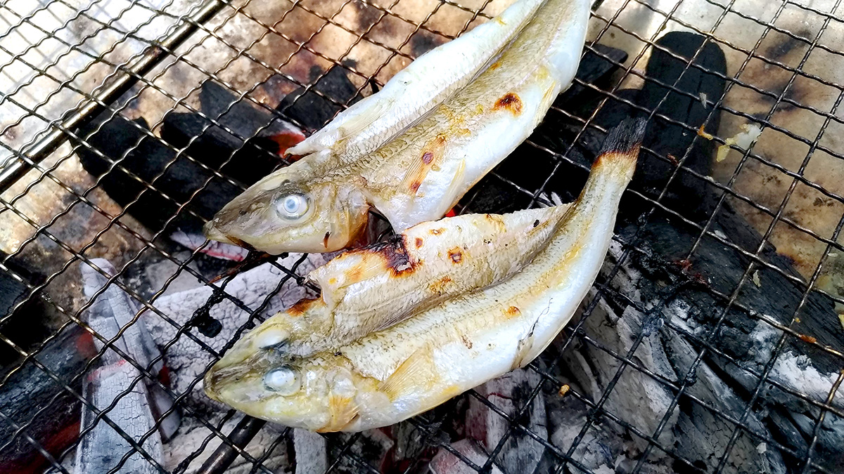 炭火の網で焼いているシロギスの干物