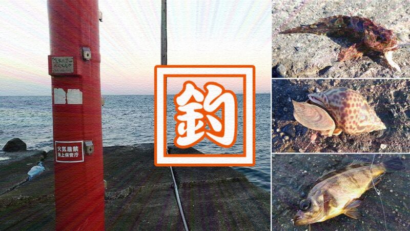 新年明けましての冬釣り！千葉内房堤防釣りも…釣れたのは貝？