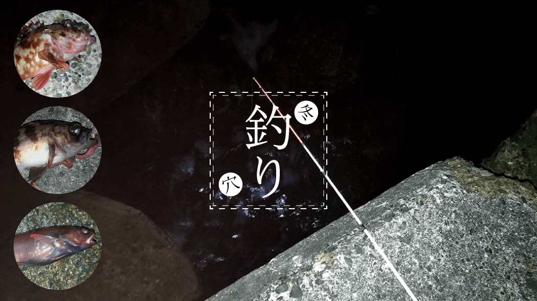 北浦で粘りの一匹なヘラブナ野釣り【霞ヶ浦水系 1月下旬冬】