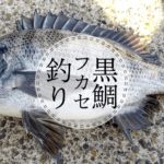 ダイワ(Daiwa) のバッカンとロングキャスターライト｜釣具レビュー