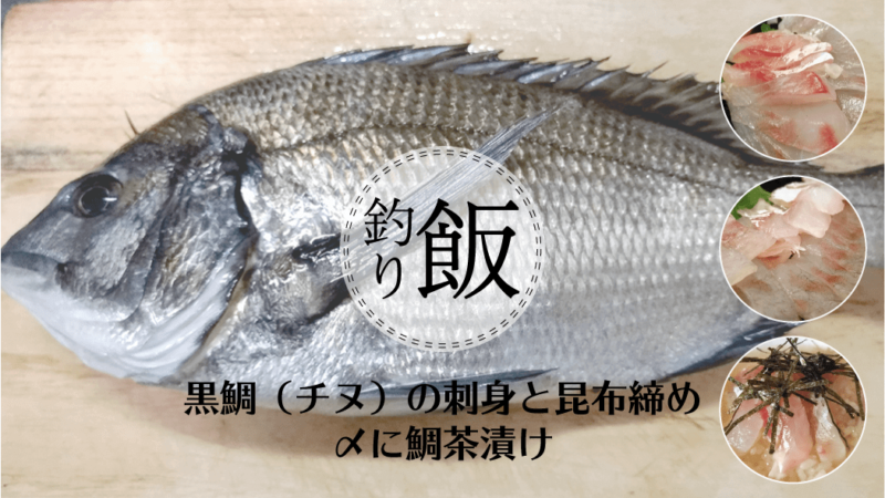 黒鯛（チヌ）の刺身と昆布締め！〆は昆布締め鯛茶漬け…うまぁ【釣りメシ】