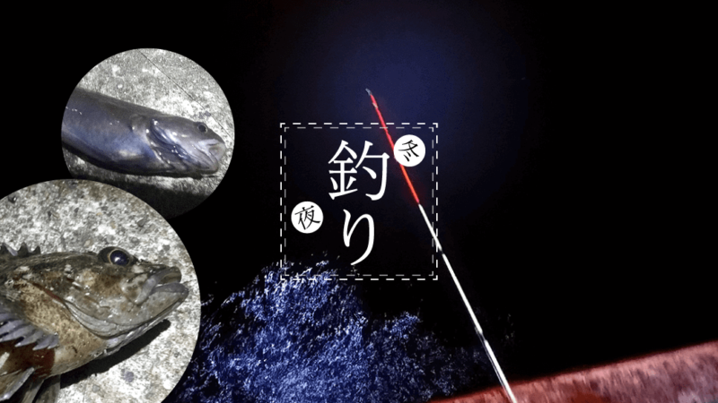真冬の館山で長潮堤防夜釣り！ムラソイにドンコ…フグ猛襲？
