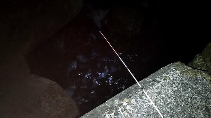 冬夜の穴釣り！千葉内房堤防釣りでカサゴ・メバル・ドンコ