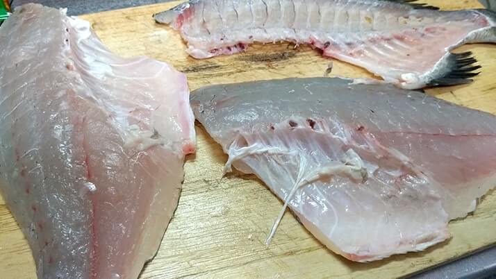黒鯛（チヌ）の刺身と昆布締め！〆は昆布締め鯛茶漬け…うまぁ【釣りメシ】