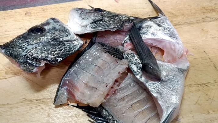 黒鯛（チヌ）の刺身と昆布締め！〆は昆布締め鯛茶漬け…うまぁ【釣りメシ】
