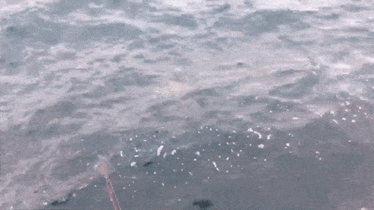 千葉館山自衛隊堤防で冬釣り！若潮も時合はアオアジ入れ食い
