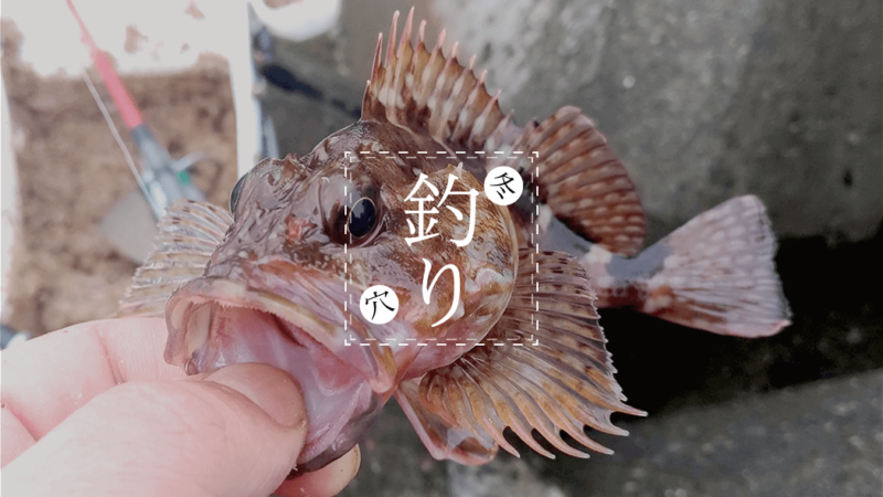 強風の中での堤防釣り…フカセ釣り中断で穴釣りがベスト？【千葉内房】