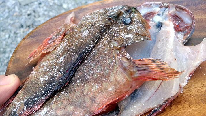 カサゴの干物とムラソイのアヒージョ｜釣った魚で釣り飯！