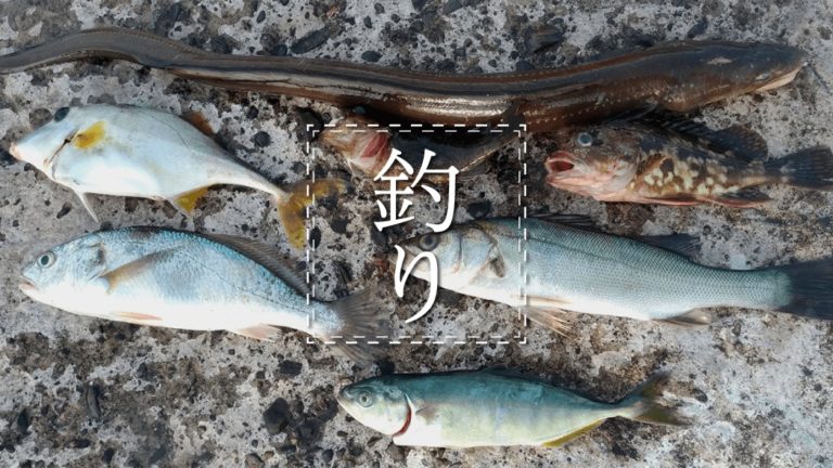 木更津沖堤防で釣り！アナゴ・ワカシ・イシモチ…etcの五目釣り【渡船 栄宝丸】