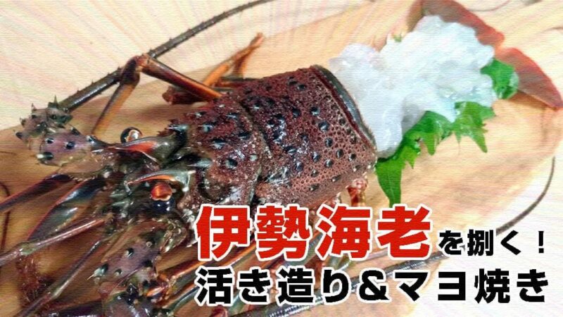 伊勢海老の捌き方は簡単！伊勢海老料理・刺身&マヨ焼きが絶品