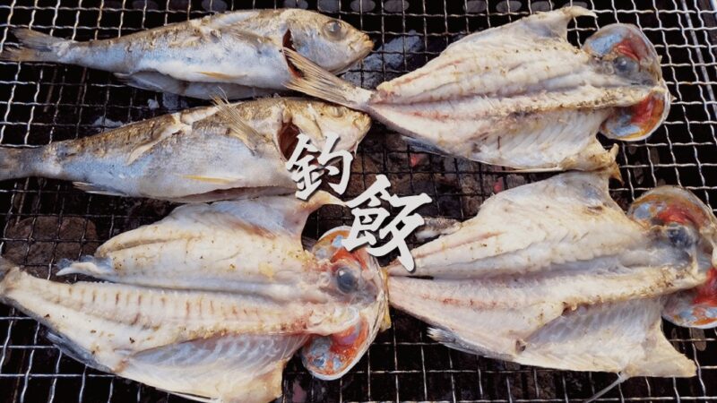 釣ってきたイサキを日干しと塩焼きでBBQ！！【釣り飯】