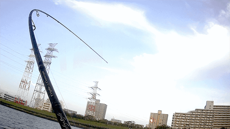 ソルティスタイル トリプルコンセプト長期レビュー｜シーバスとライトショアで使う万能ロッド