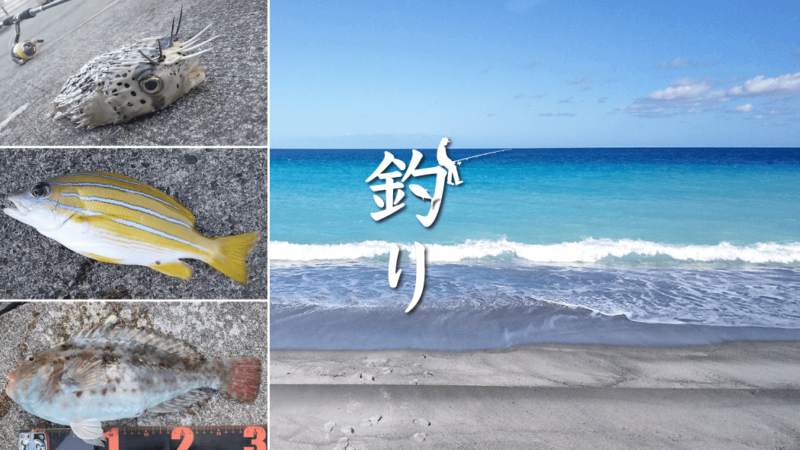 サーフからの堤防釣り！大物バラして涙の五目釣り｜新島釣りキャンプ【DAY2 後半】