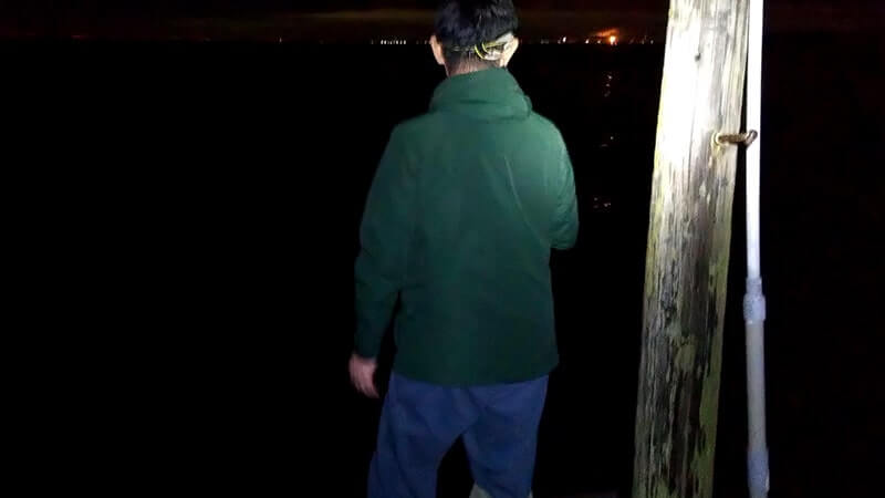 千葉堤防釣り！秋の夜釣りで90cm超ホタテウミヘビ…朝はアジ・カマスetc
