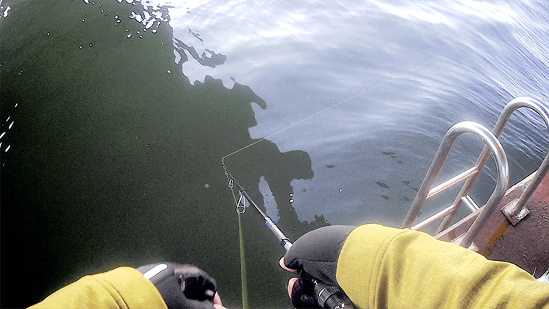 釣り初めはセイゴシーバス…1月初め冬の湾奥中川釣り