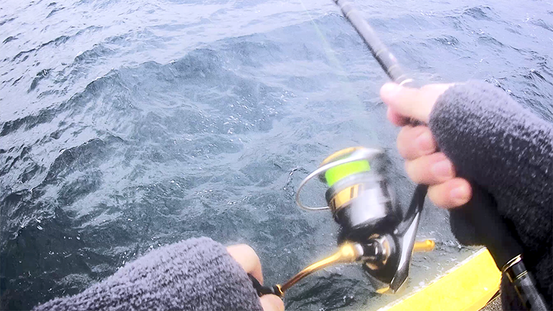 新島遠征最終日！出船までのルアー釣りでショゴ（カンパチ）GET｜新島釣りキャンプ第二弾【DAY8】