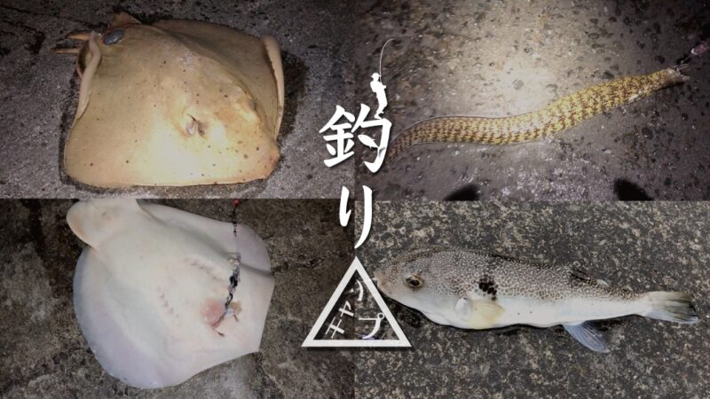 サバ切り身のぶっこみ釣り！エイ・ウツボ・アナゴ…魚種豊か（笑）｜新島釣りキャンプ第二弾【DAY7 後半】