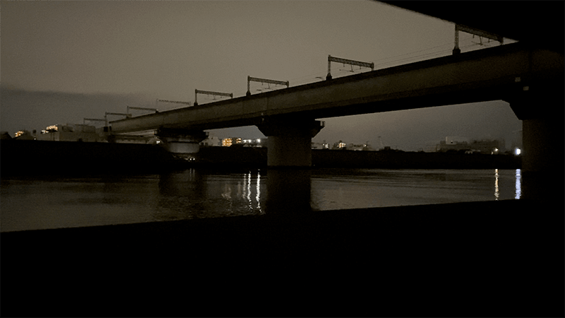 シーバスに年無しチヌ！東京河川で夏の夜な夜なルアー釣り【東京湾奥ルアー釣り】