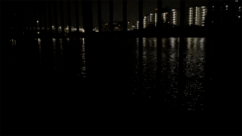 東京河川でマゴチ！？ルアーデイゲームでマゴチ！夜餌釣りでウナギ