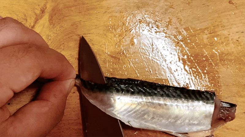 小サバを釣って「ごまさば丼」に！千葉海釣りで釣ったサバで釣り飯