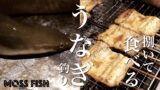 釣ったウナギでうな重！中川でウナギ釣り→泥抜きして捌く
