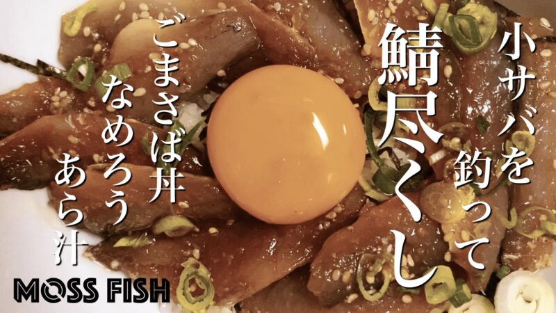 小サバを釣って「ごまさば丼」に！千葉海釣りで釣ったサバで釣り飯