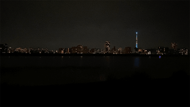 東京湾奥河川チヌゲーム！ワームで黒鯛を狙う夏夜のルアー釣り