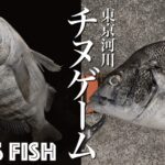 若洲海浜公園デイキャンプ！夏キャンプランチは冷麺が最高！！【前編】