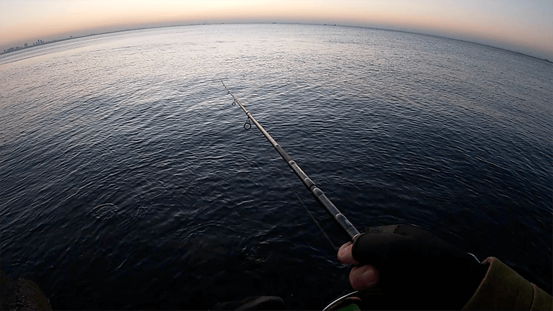 湾奥ルアー釣りでタチウオ狙うもコノシロすれがかり…